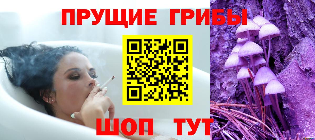 Галлюциногенные грибы Cubensis Фрязино