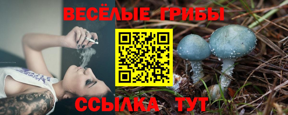 Галлюциногенные грибы MAGIC MUSHROOMS  Псилоцибиновые грибы GOLDEN TEACHER  Вход с VPN  Фрязино 